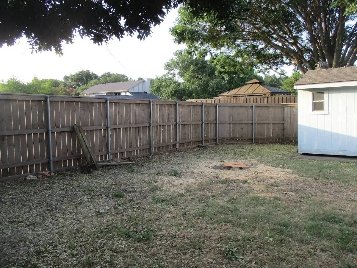 Cleared yard after professional tree removal in Ellenburg Depot