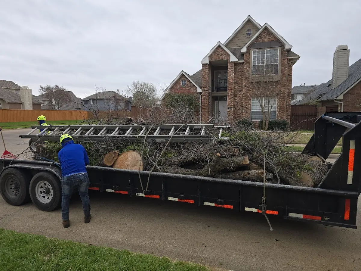 Expert Tree Removal with proper safety equipment in Ellenburg Depot